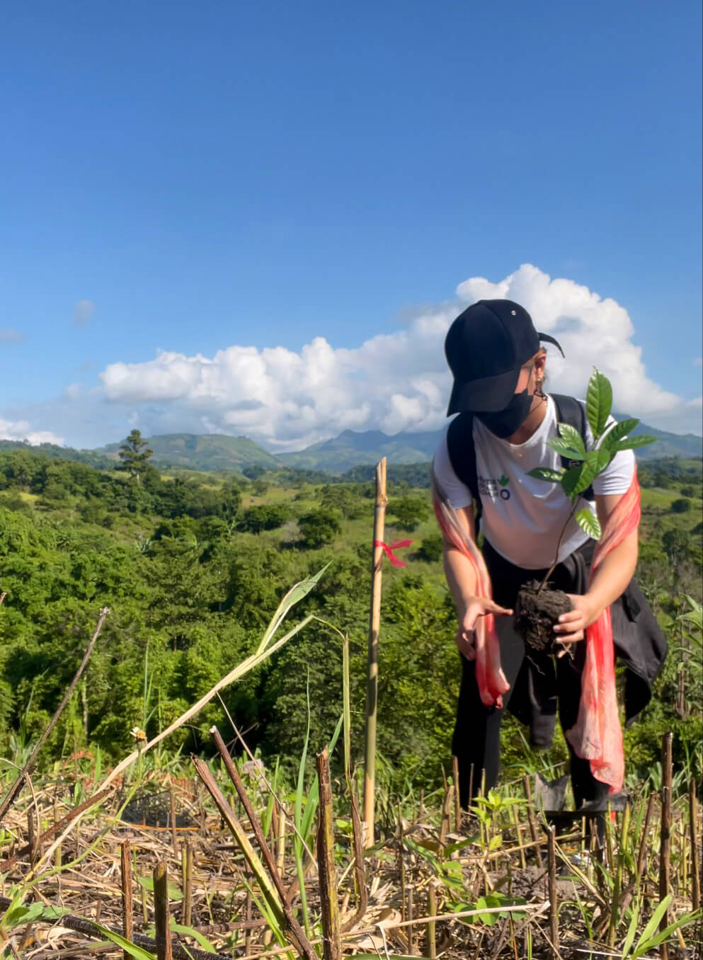 Female person in Action Against Hunger shirt wearing face mask and cap, holds a small tree to plant on the ground. Around her are green trees and bright blue sky.