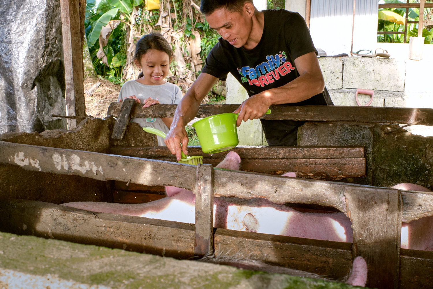 Siargao Rice Field Restoring the Rice Fields After Typhoon Odette - Action Against Hunger